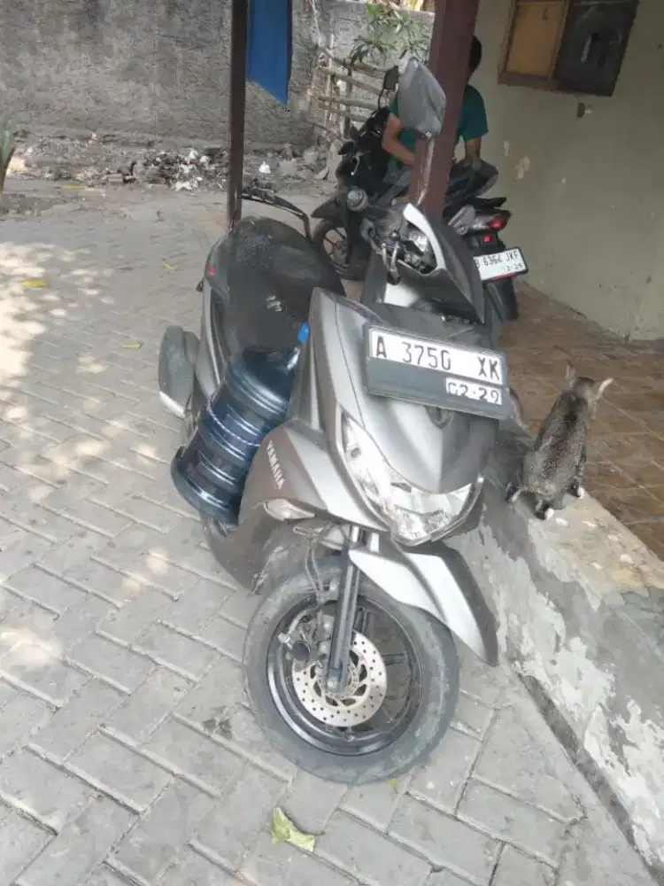 jual cepet motor freego