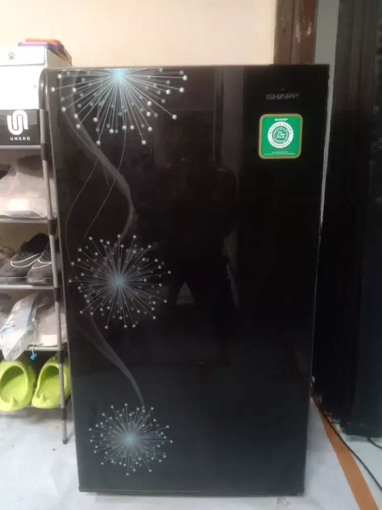 Kulkas Sanken kondisi freezer tidak fungsi atau tidak dingin