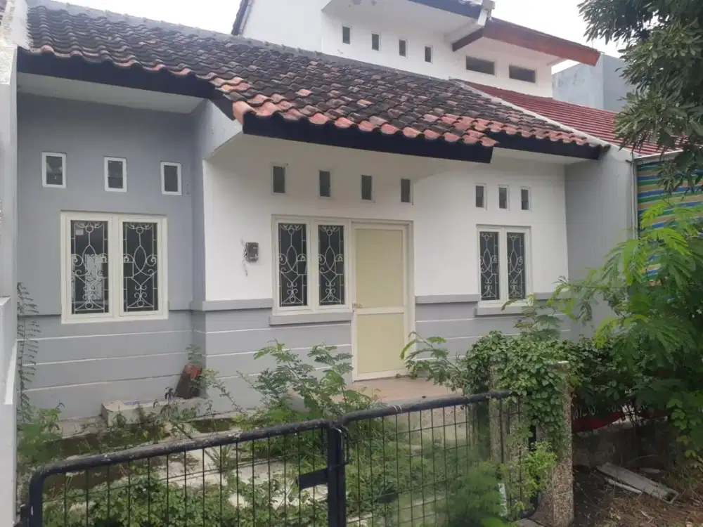 Dijual Rumah Murah Strategis  Siap Huni Hanya Hitung Tanah Di Citraland Bukit Palma Surabaya Barat