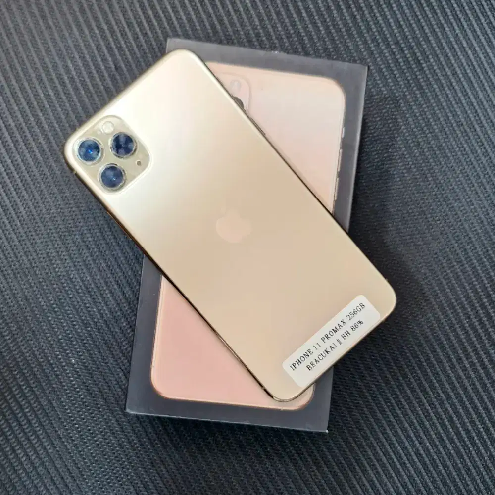 iPhone 11 Pro Max 256gb, inter BEACUKAI free adapter