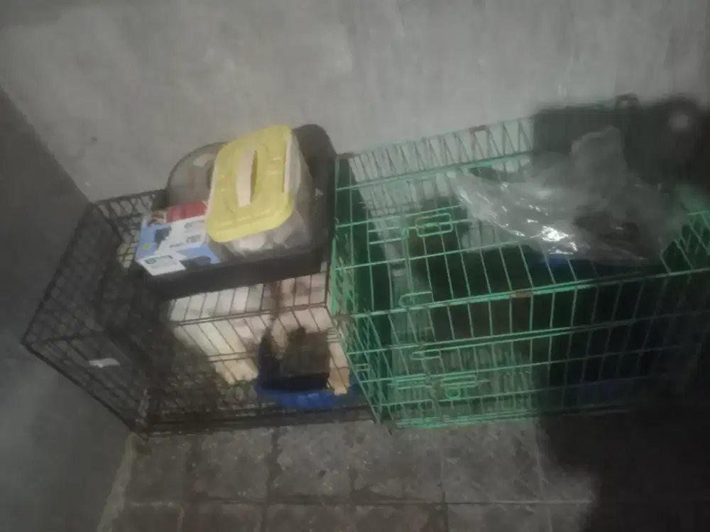 Kandang kucing 60x50