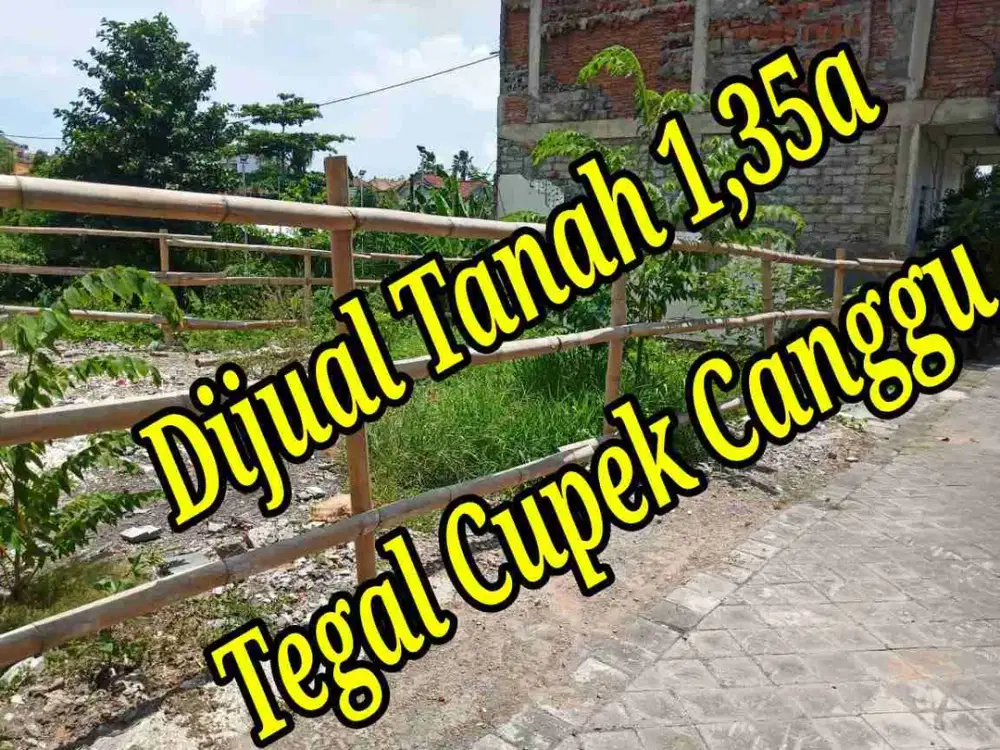 Dijual Tanah 1,35a di Jln Tegal Cupek Canggu Bali