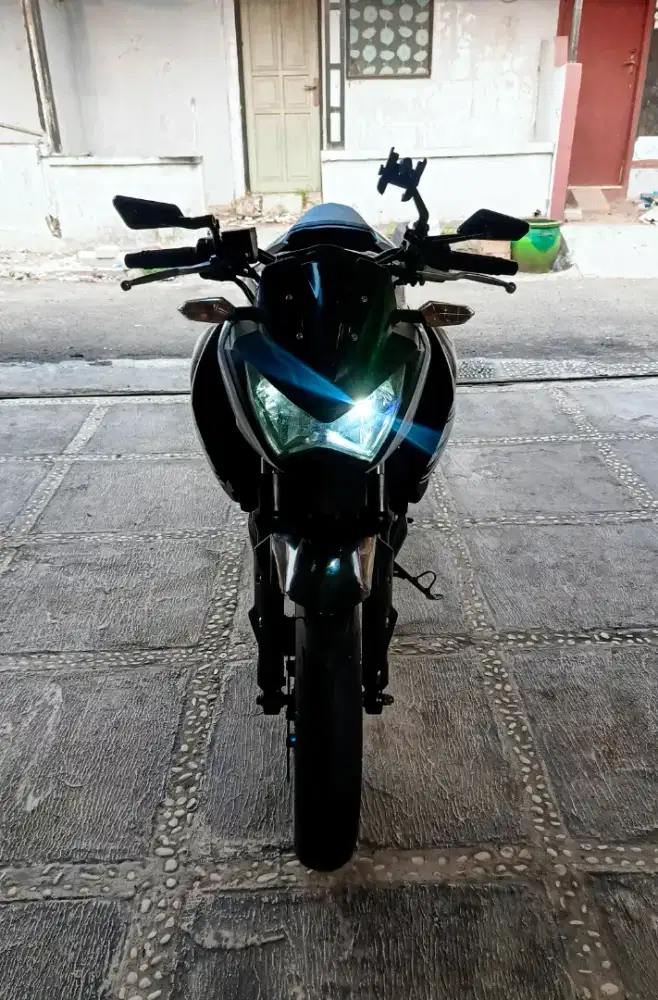 Ninja z250 naked 2 silinder