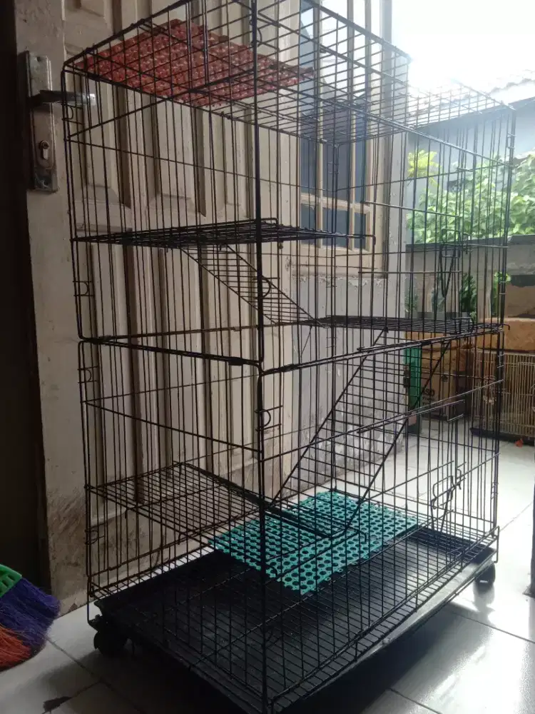 Kandang kucing tingkat besar