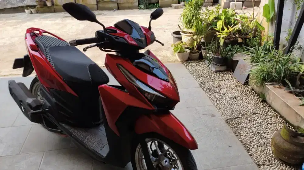 Vario 125  2016