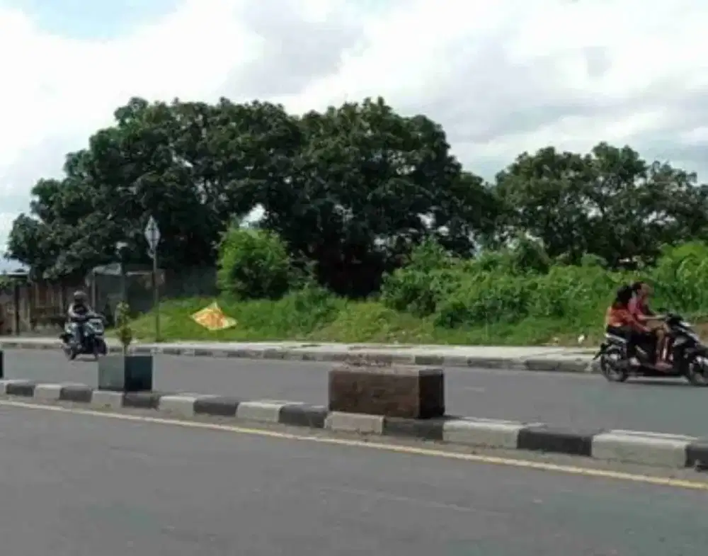 Disewakan tanah sweta, bertais | Strategis | Luas | cocok untuk usaha