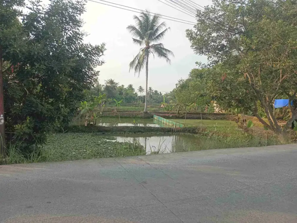 DIJUAL 874 M² EMPANG SHM – LOKASI STRATEGIS PINGGIR JALAN BESAR DI CISEENG-BOGOR.