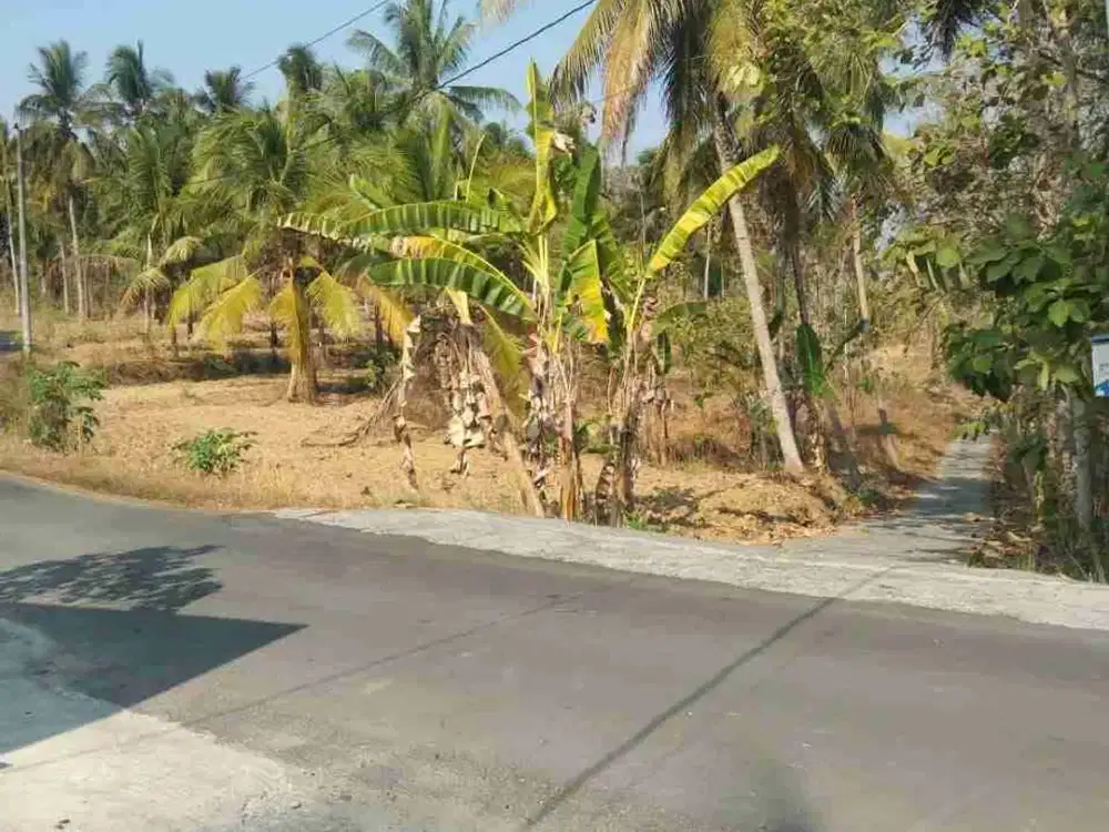 Tanah Murah di Sentolo Kulon Progo