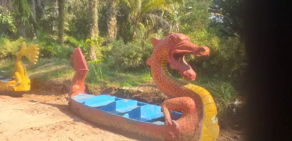 Perahu naga dayung