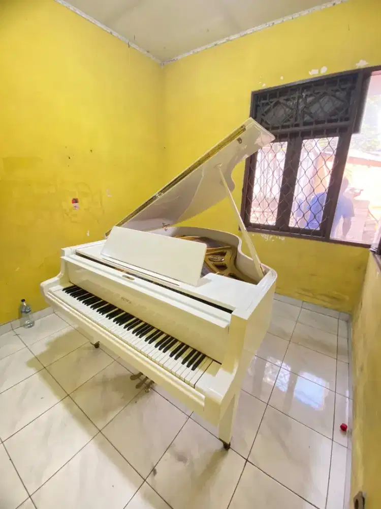 Grand Piano Petrof P IV – Made in Czech Republic | Premium & Elegant