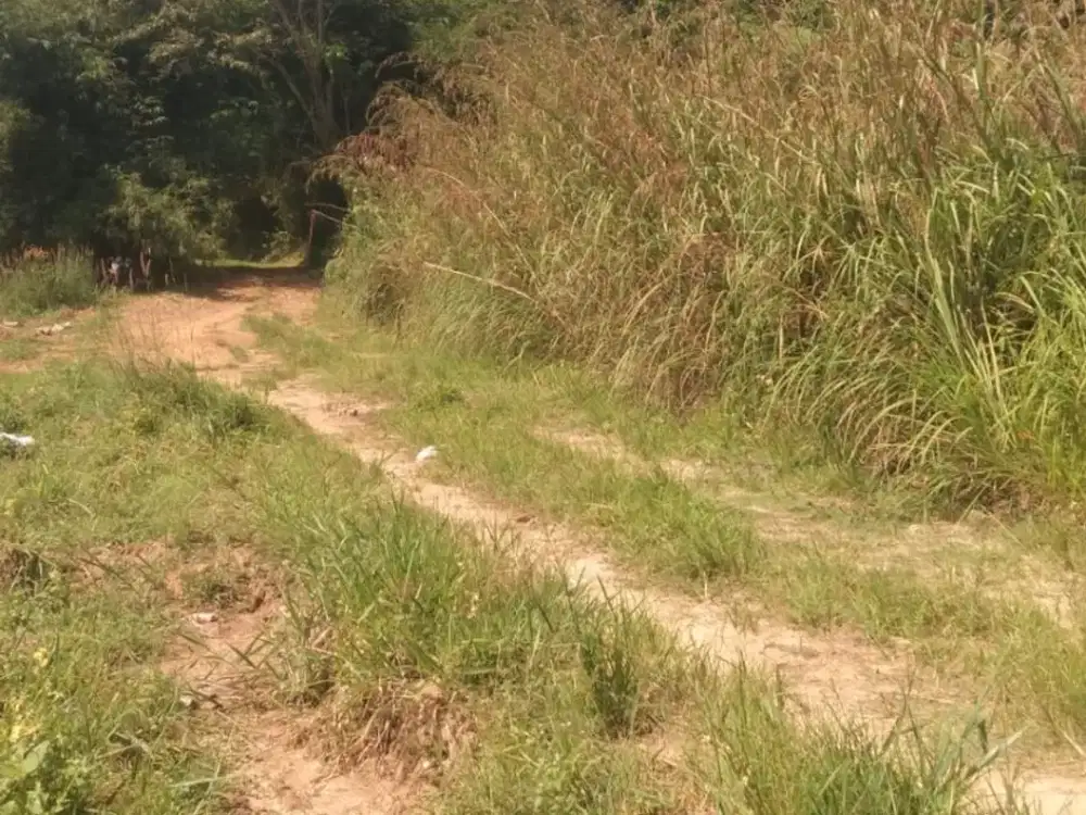 Dijual Tanah 50 Hektar di Jonggol, Bogor