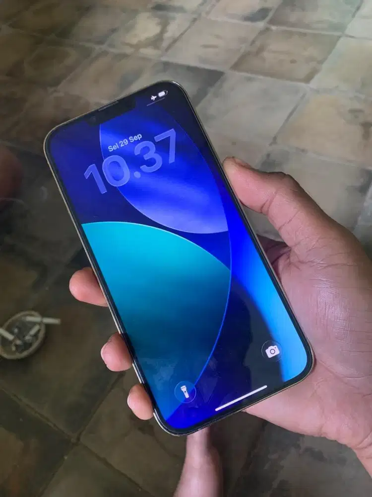 Iphone 13 Pro Max (INTER)