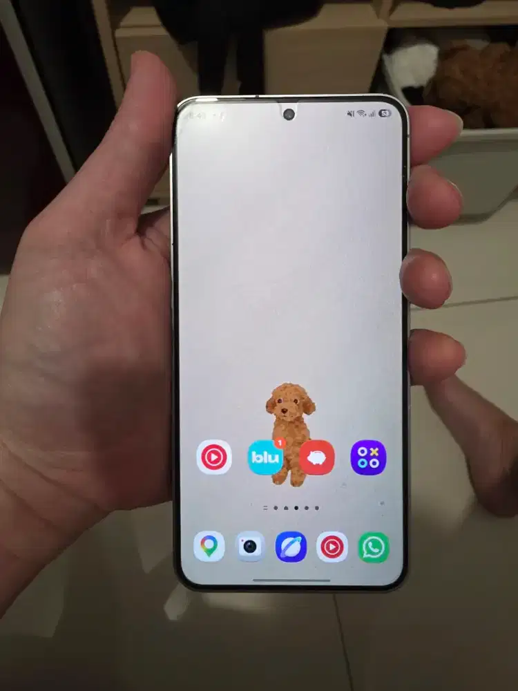 Samsung S25-256