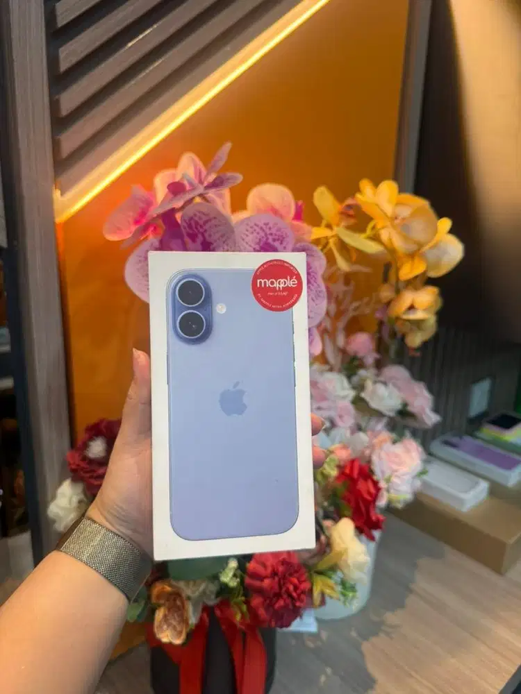 Ip 17 mist blue 256gb new
