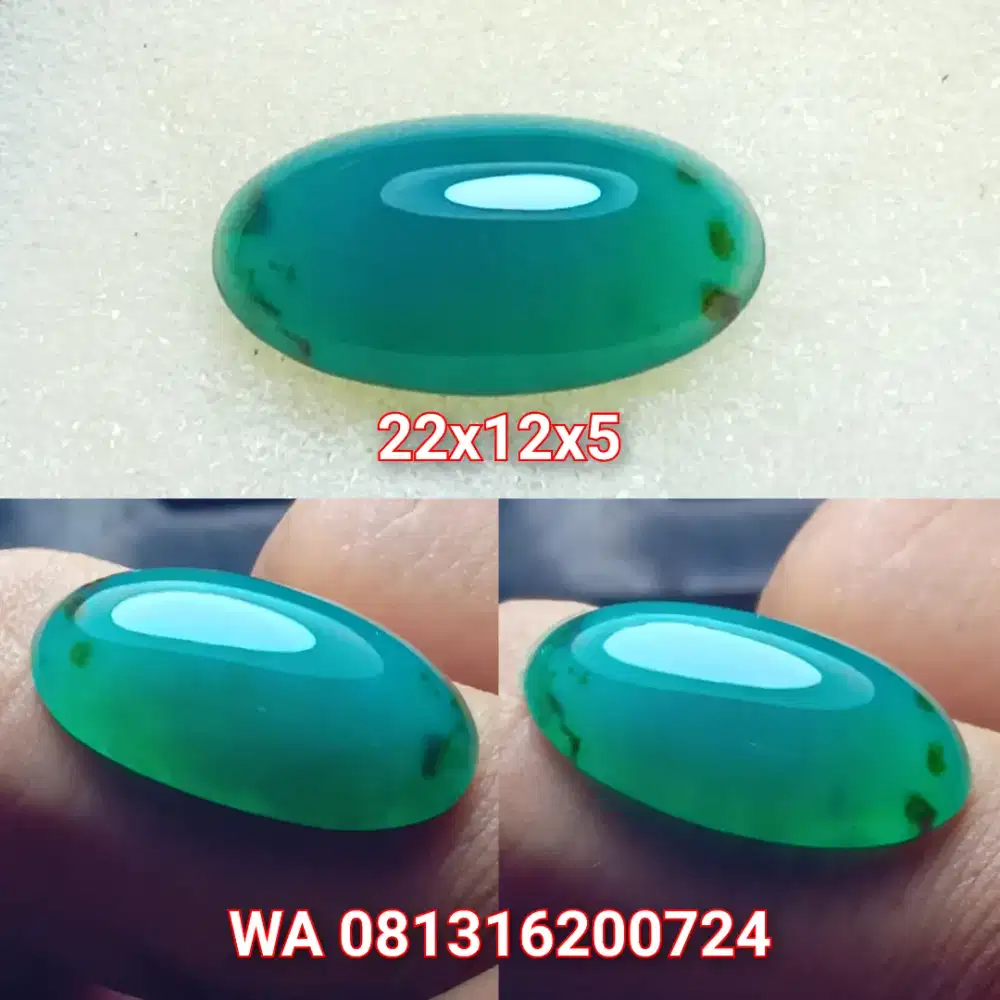 Bacan doko semi giwang