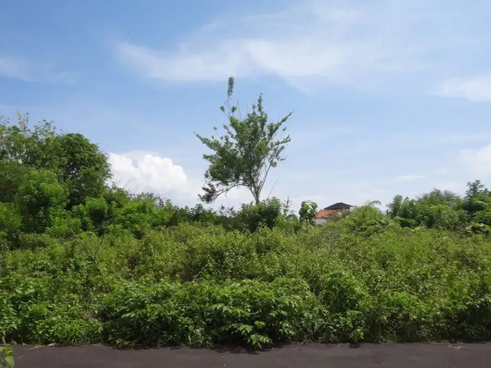 Tanah kavling di Kutuh, Nusa Dua