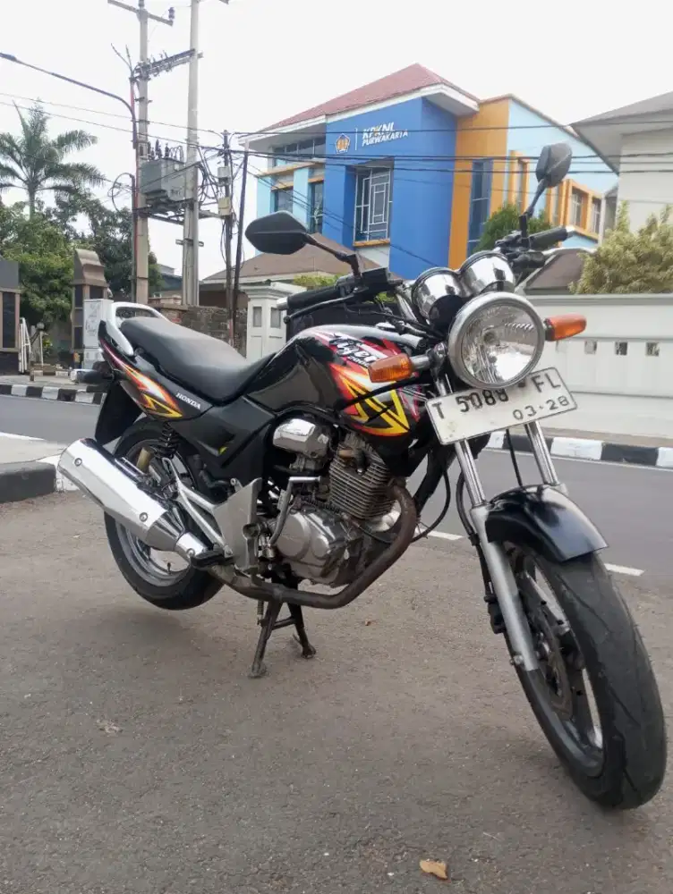 Tiger gambot plat T