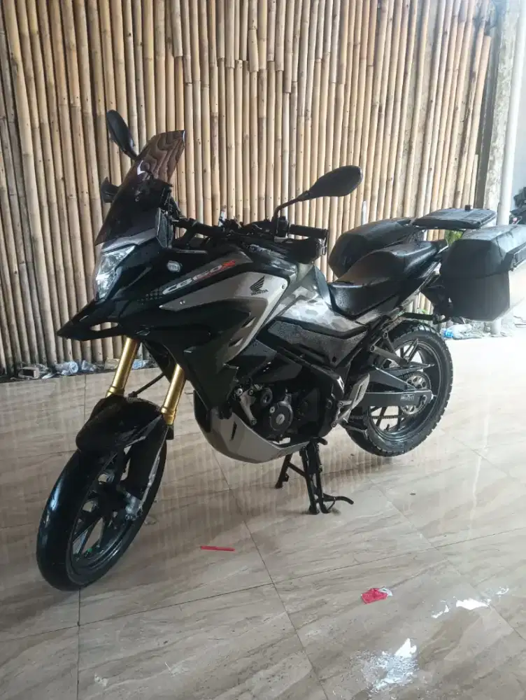 Honda CBX muluss