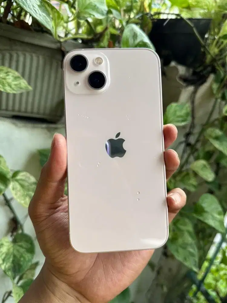 iPhone 13 128 GB Pink Resmi