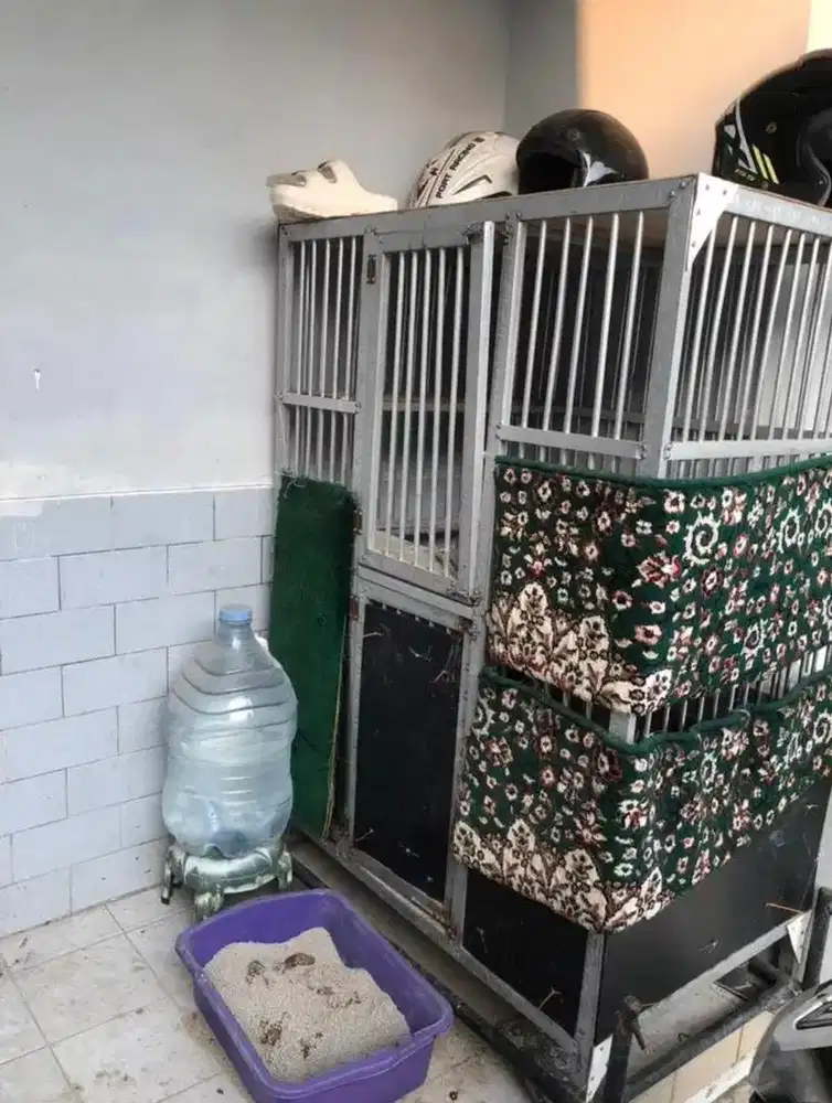Kandang Kucing 2 tingkat