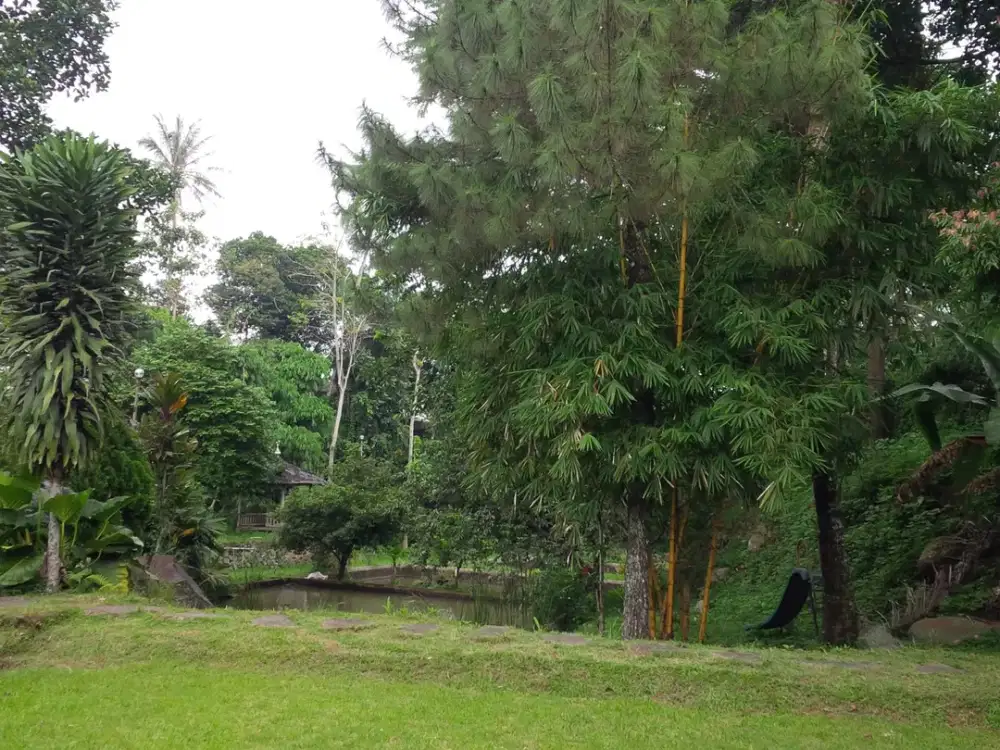 TURUN HARGA KAVLING DI JL. RAYA CIJERUK, BOGOR