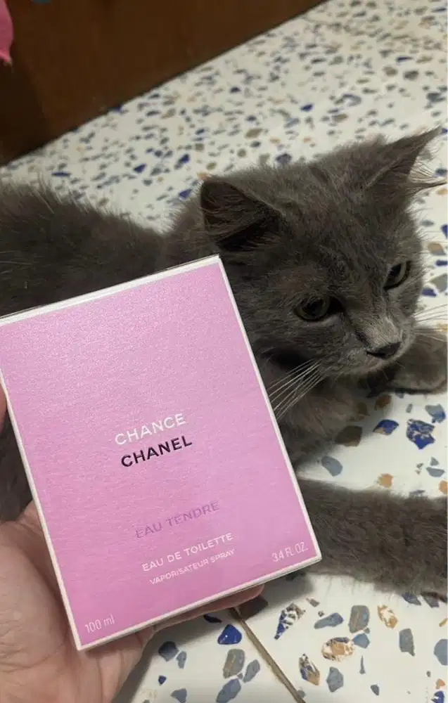Chanel Chance Eau Tendre Eau de Toilette 100ml