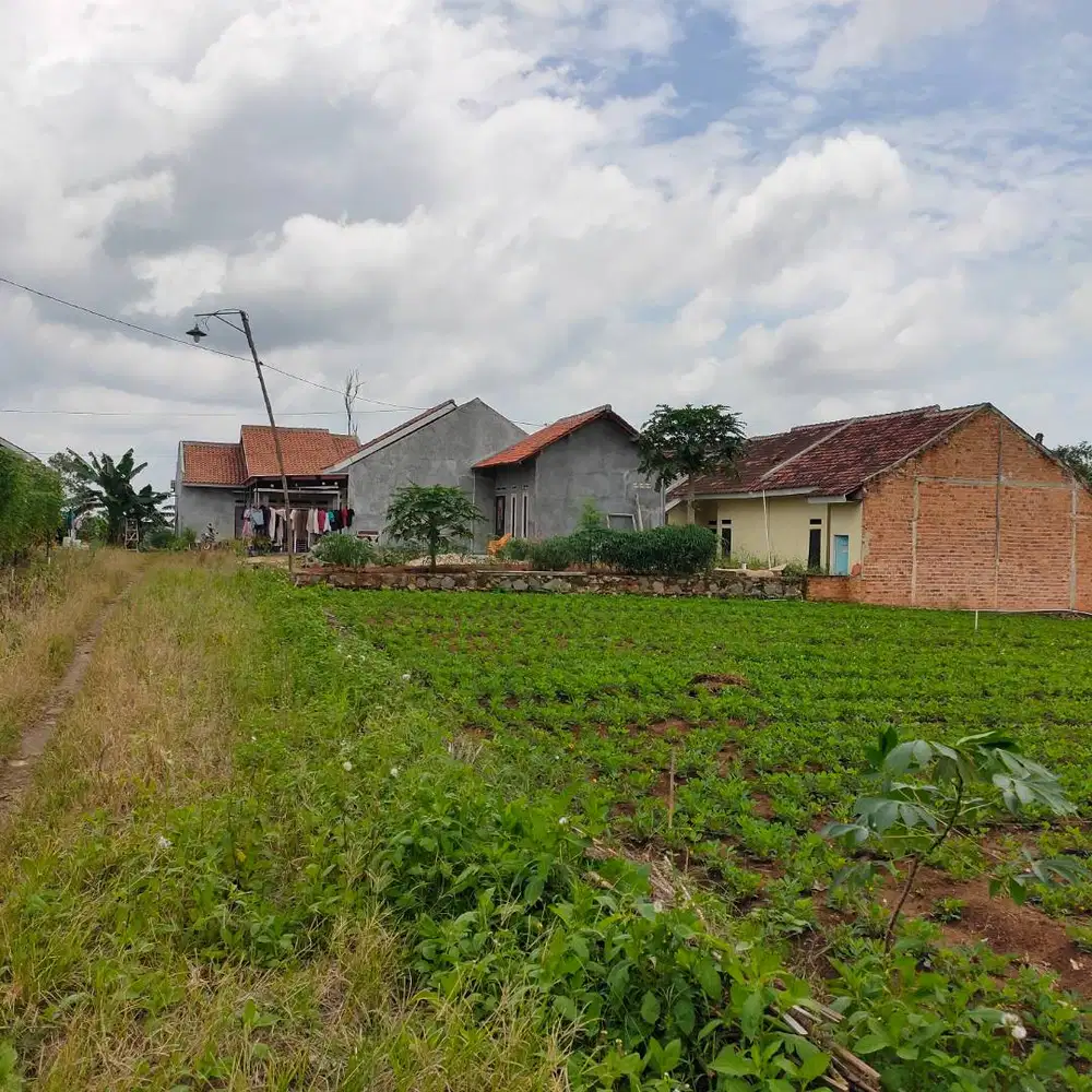 RUMAH MURAH KEMILING 300 MTR DARI JALAN UTAMA MATA AIR PINANG JAYA KEM