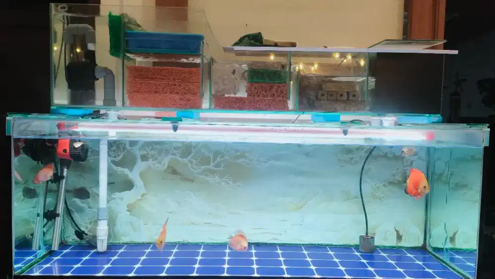 Jual aquarium top filter