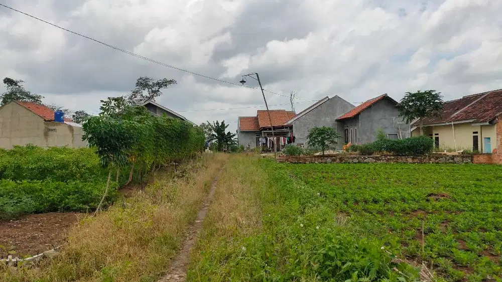 RUMAH MURAH KEMILING 300 MTR DARI JALAN UTAMA MATA AIR PINANG JAYA