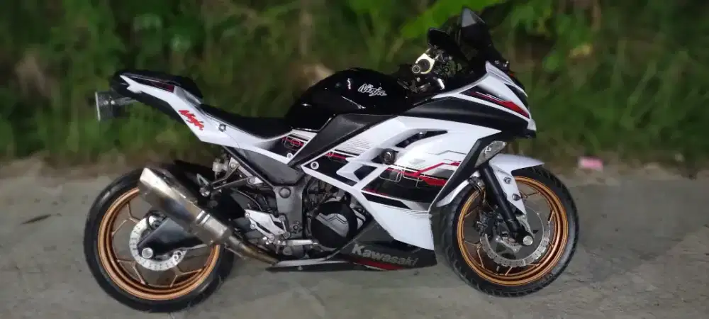 Ninja 250 fi ABS