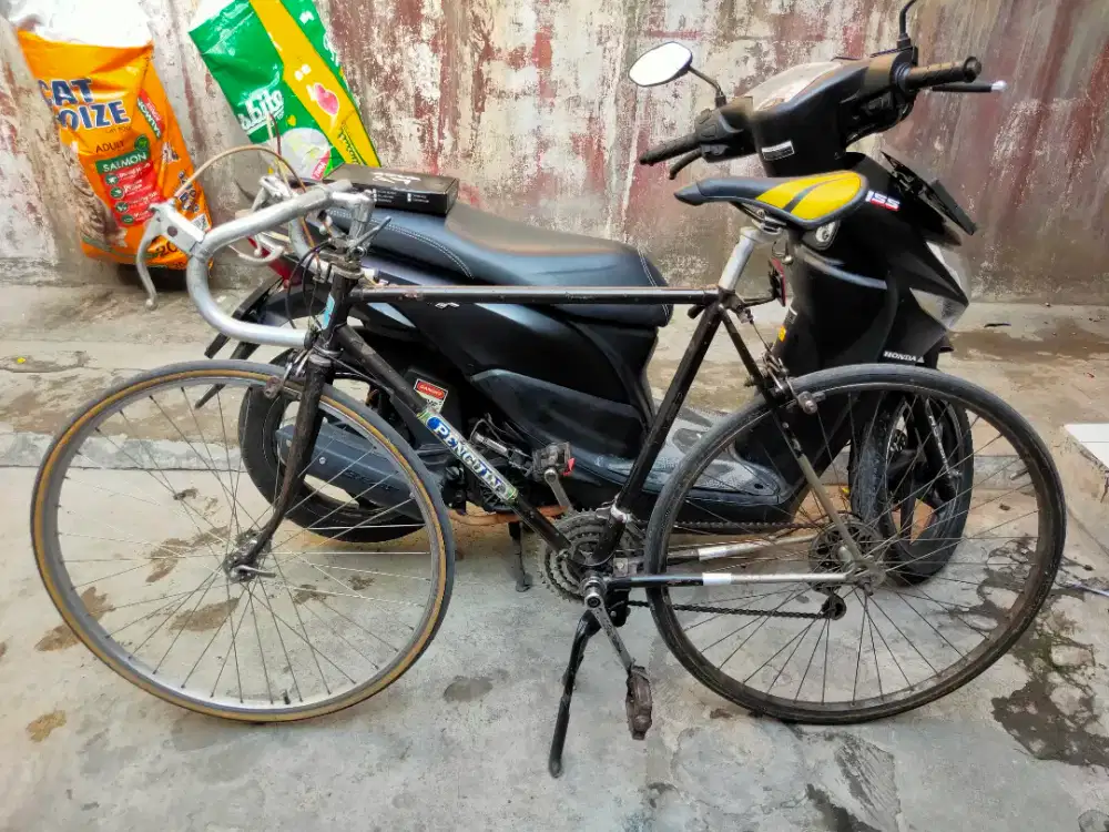 Sepeda Bajul/Roadbike Vintage Penguin 80's