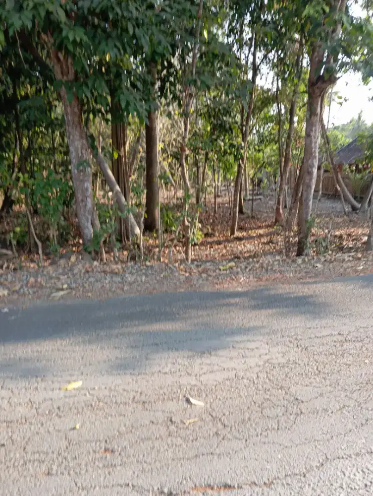 Dijual tanah 5200m