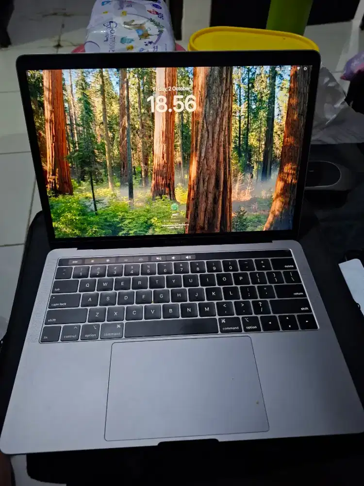 Laptop Apple Mac book Pro