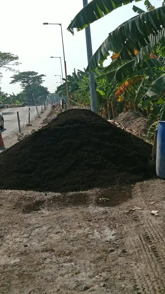 Pasir kediri / pasir pasang