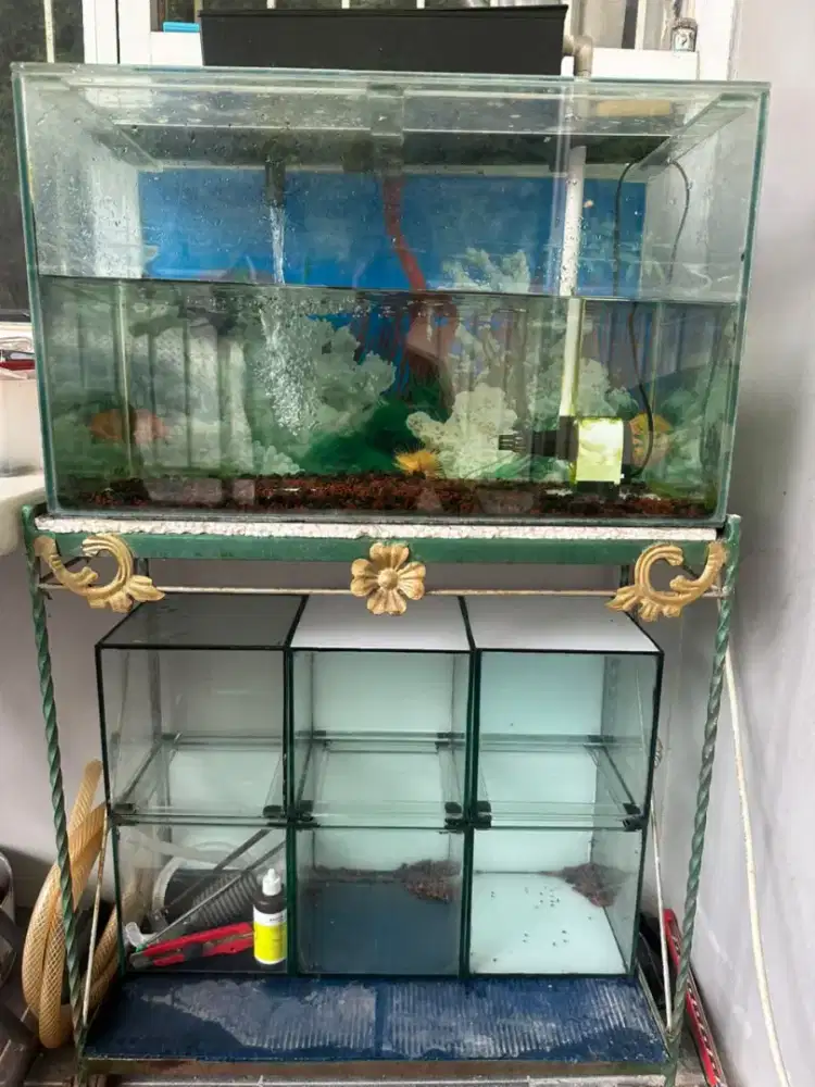 Aquarium full set