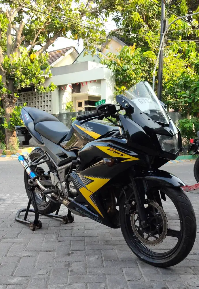 Ninja RR new 2014