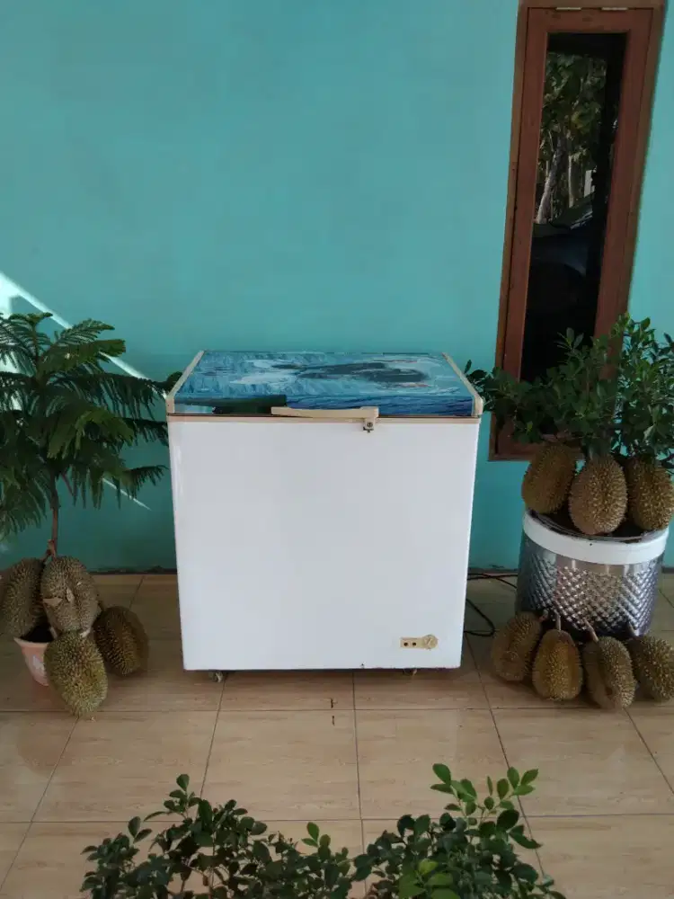 Freezer box 200 liter