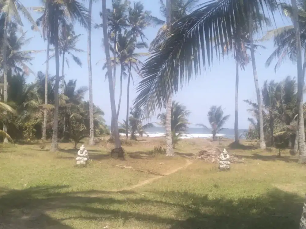 DIJUAL TANAH STRATEGIS – PENGERAGOAN, JEMBRANA