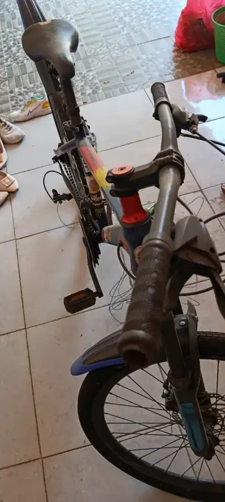 Sepeda gunung mtb 24