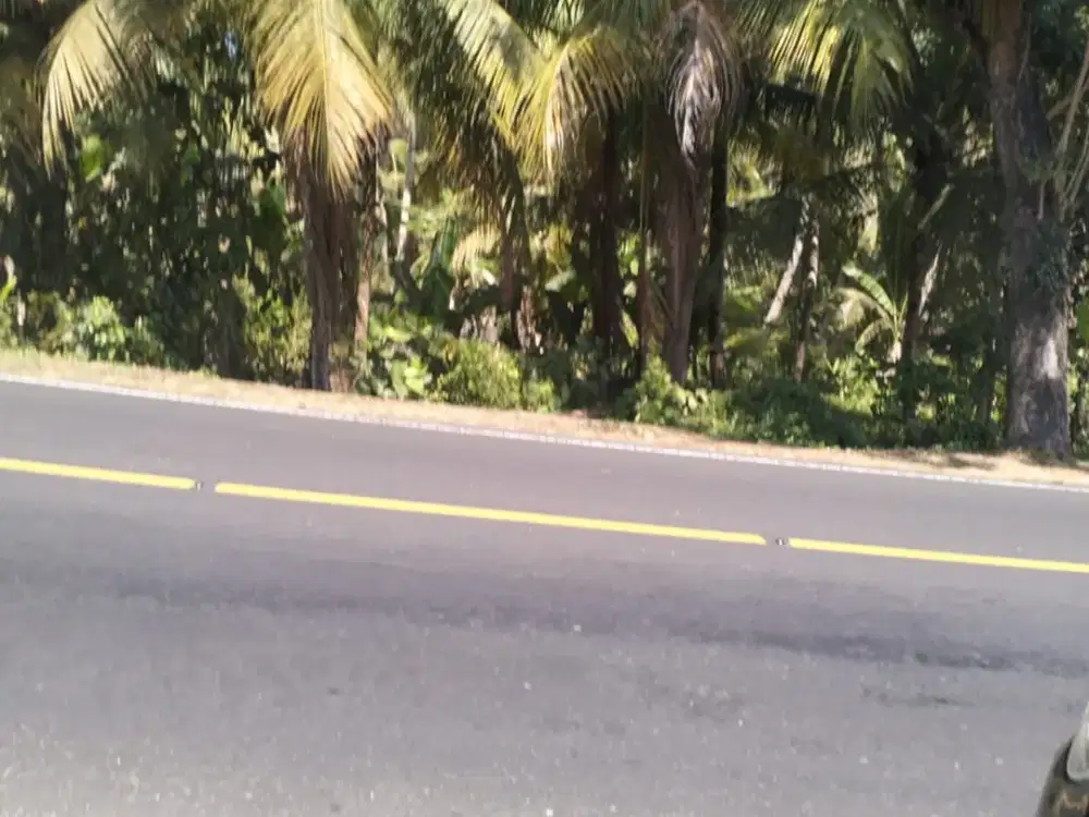 DIJUAL TANAH STRATEGIS – GUMBRIH, JEMBRANA