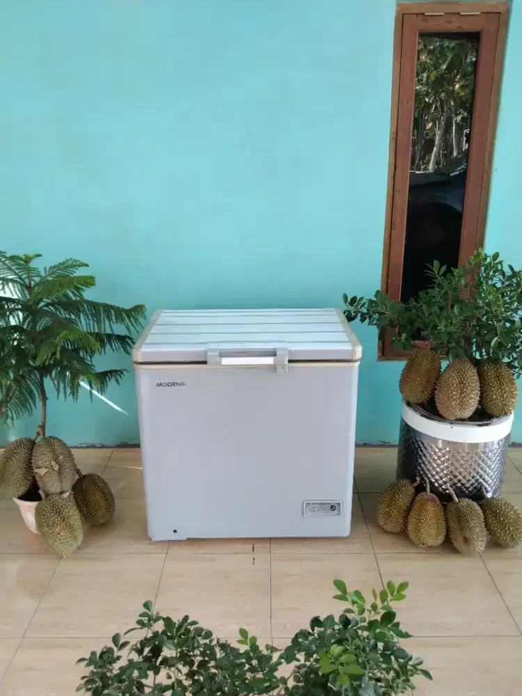 Freezer Box Kecil 150 Liter