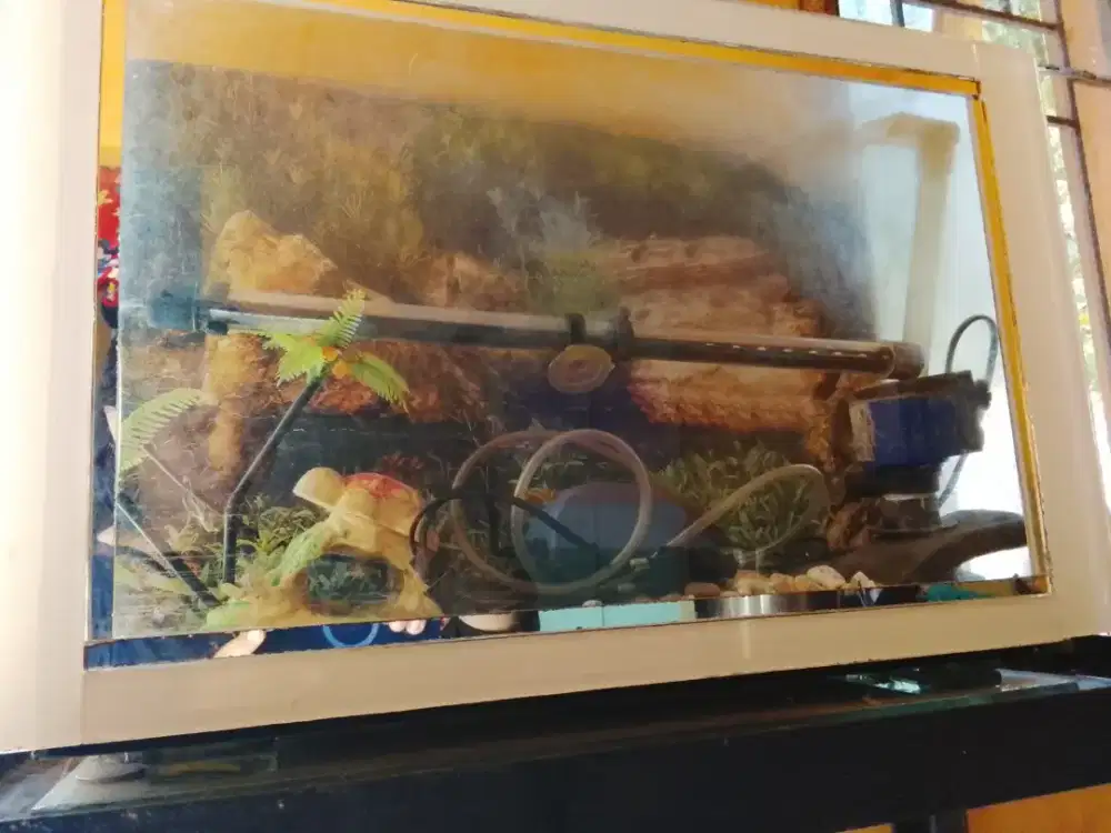 Aquarium kaca super tebal