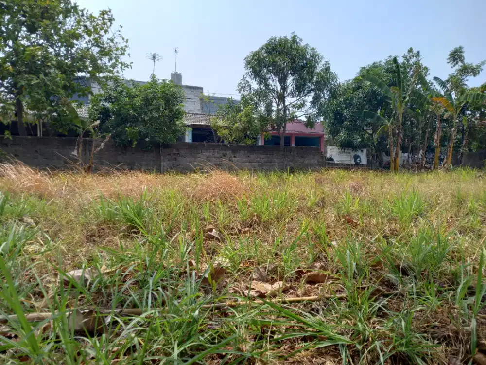 Lahan tanah kebun
