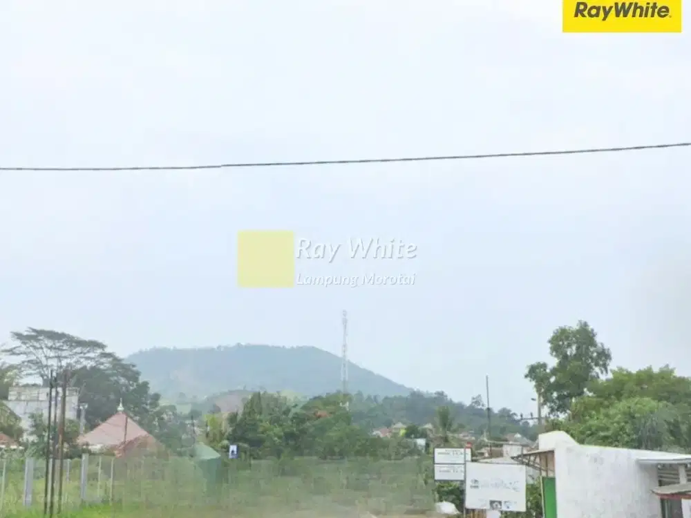 Dijual Tanah Bonus Bangunan di Tanjung Bintang (Kode : CC 3845)