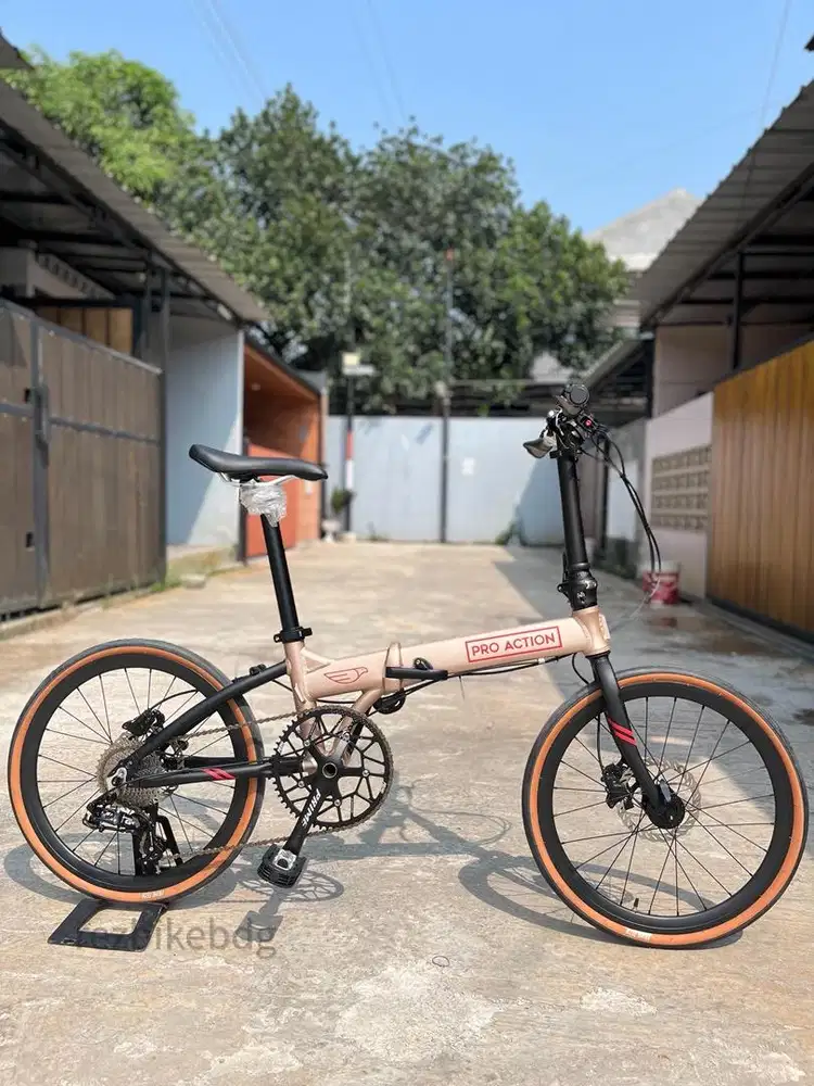 Pro Action Eagle GS SRAM GX 1x10 Speed NEW Rosegold