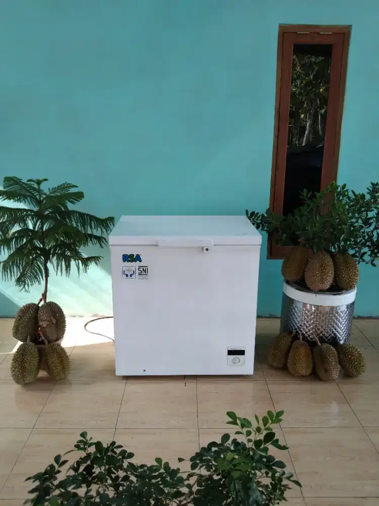 Freezer box 200 liter istimewa