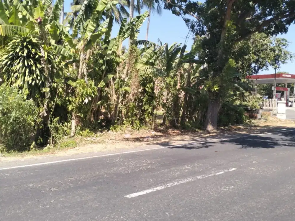 DIJUAL TANAH PINGGIR JALAN – PAKUTATAN, JEMBRANA