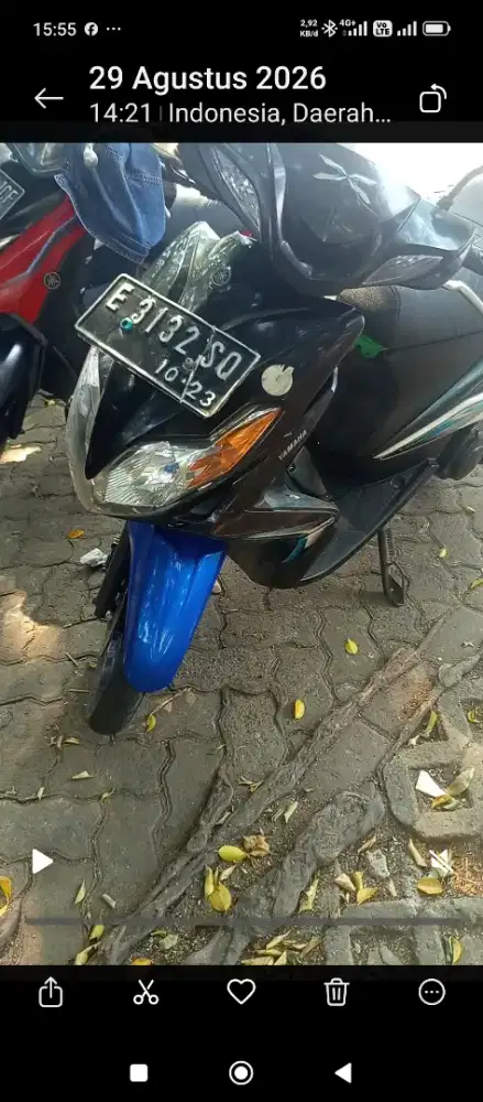 Yamaha Xeon 2010