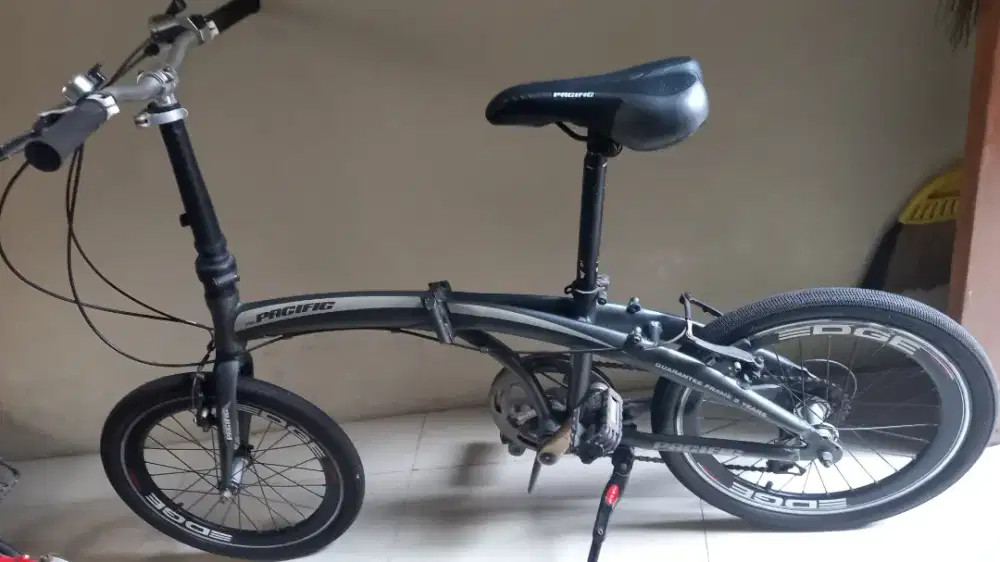 Sepeda Aloy pasific 20