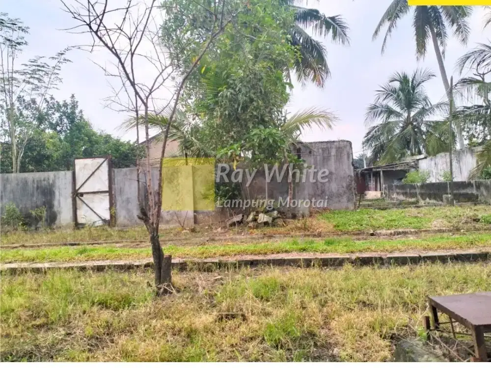 Dijual Tanah di Tanjung Bintang, Lampung Selatan (Kode : CC ME 3849)